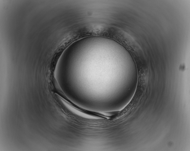 X0000099290750200805021231