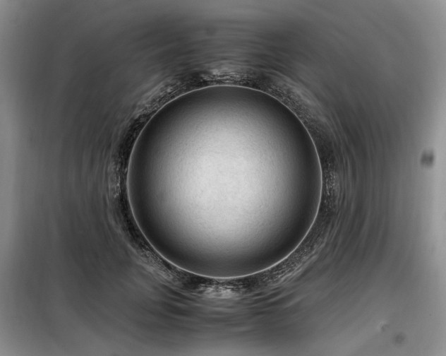 X0000099290751200805021231
