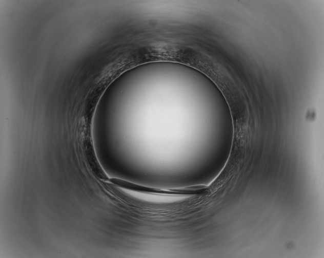 X0000099290752200805021231