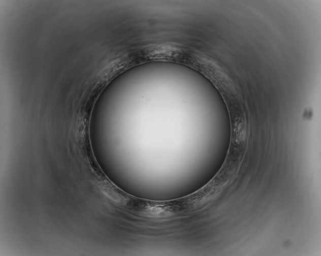 X0000099290753200805021231