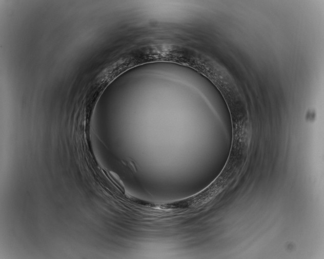 X0000099290754200805021231
