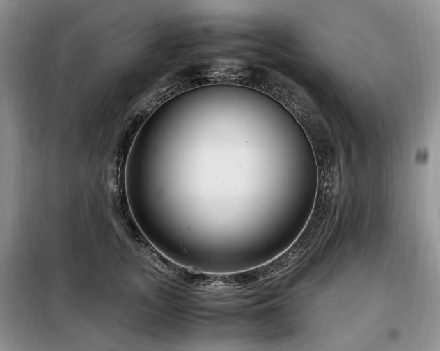 X0000099290755200805021231