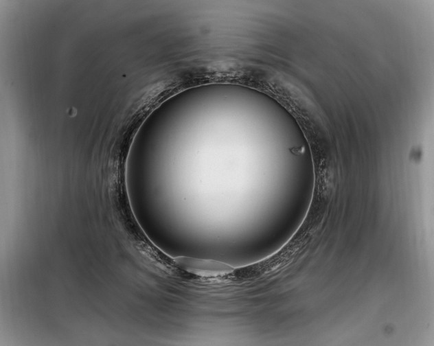 X0000099290756200805021231