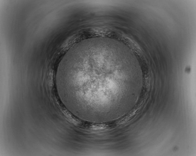 X0000099290757200805021231