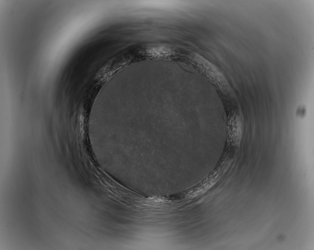 X0000099290762200805021231