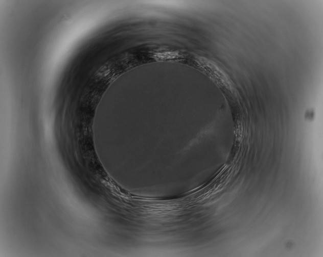 X0000099290763200805021231