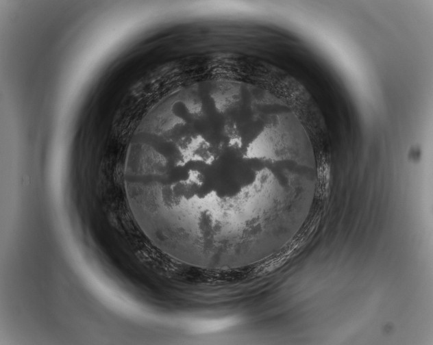X0000099290765200805021231