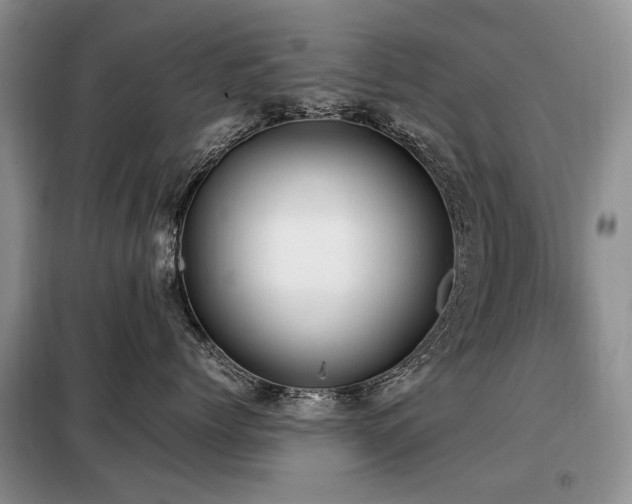 X0000099290768200805021231