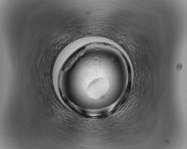 X0000099290769200805021231