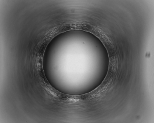 X0000099290770200805021231