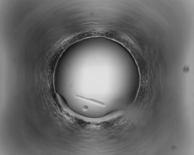 X0000099290773200805021231