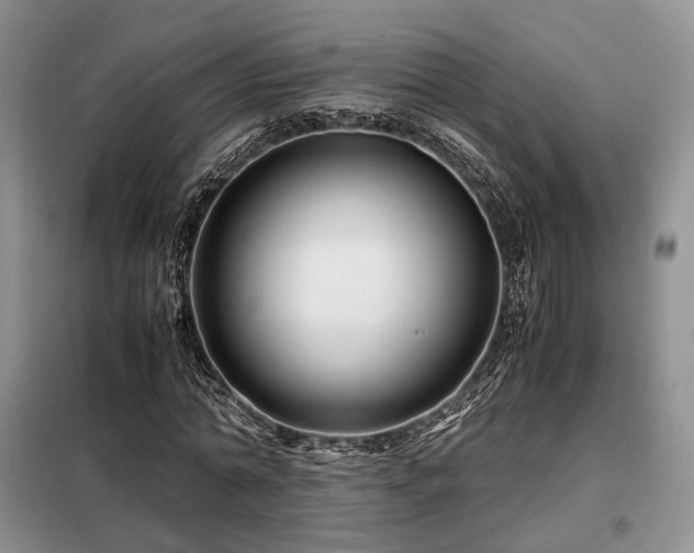 X0000099290774200805021231