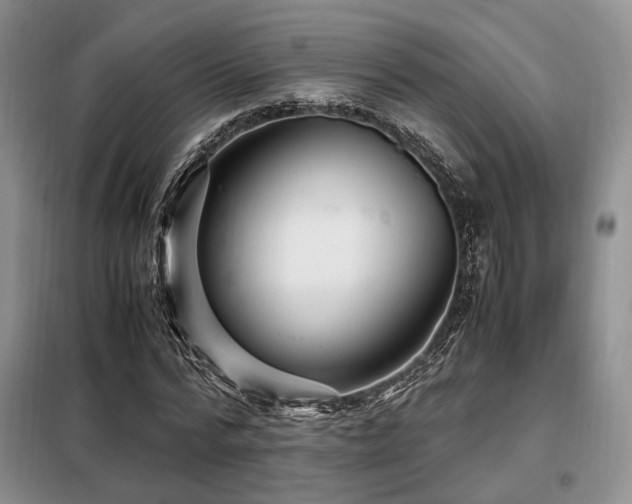 X0000099290776200805021230