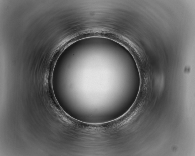 X0000099290778200805021230