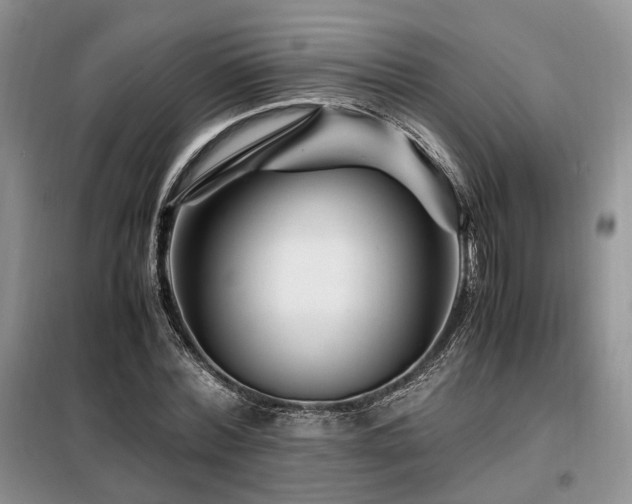 X0000099290780200805021230