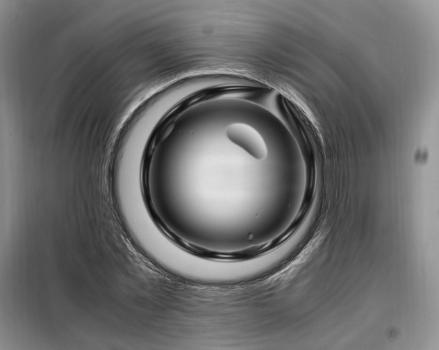 X0000099290781200805021230