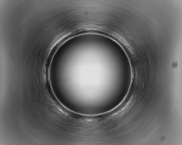 X0000099290782200805021230