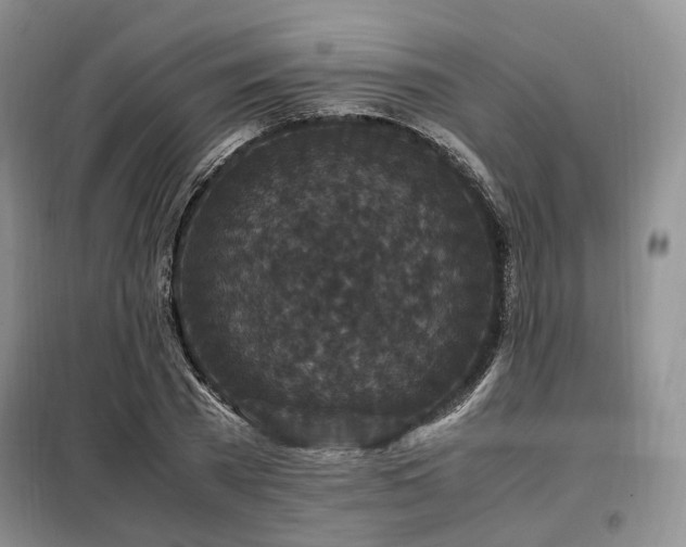 X0000099290785200805021230