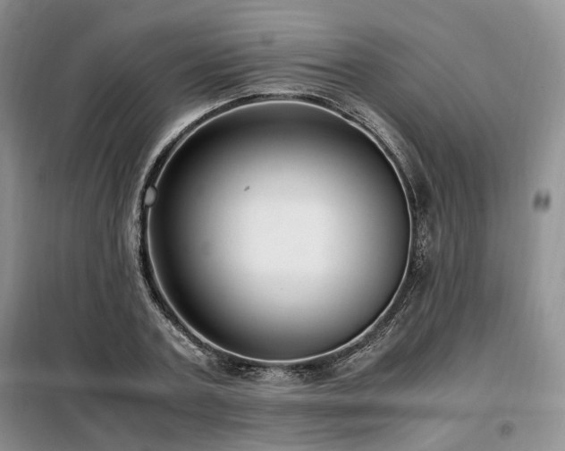 X0000099290787200805021230