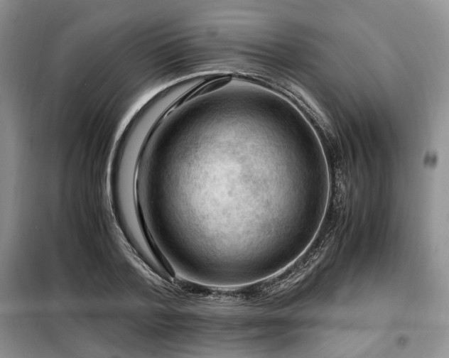 X0000099290788200805021230
