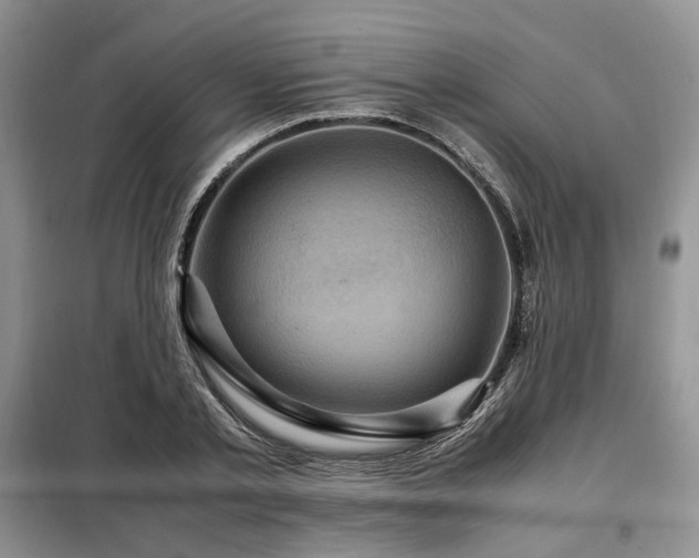 X0000099290789200805021230