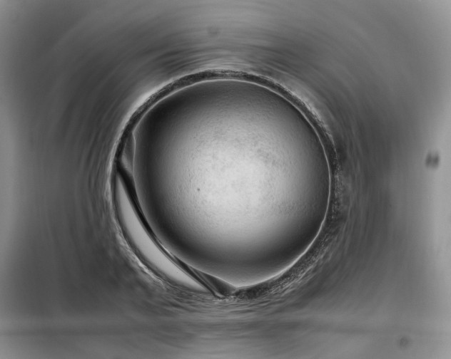 X0000099290791200805021230