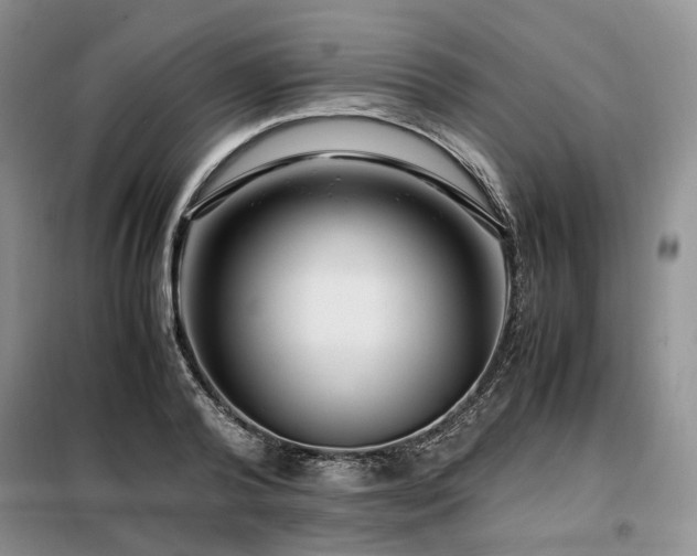 X0000099290792200805021230