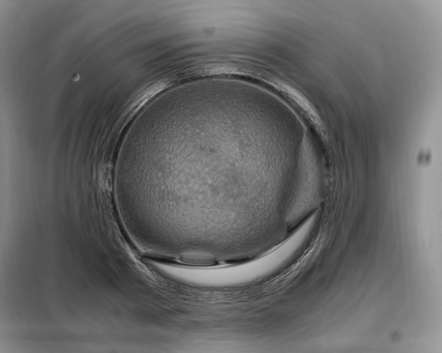 X0000099290793200805021230