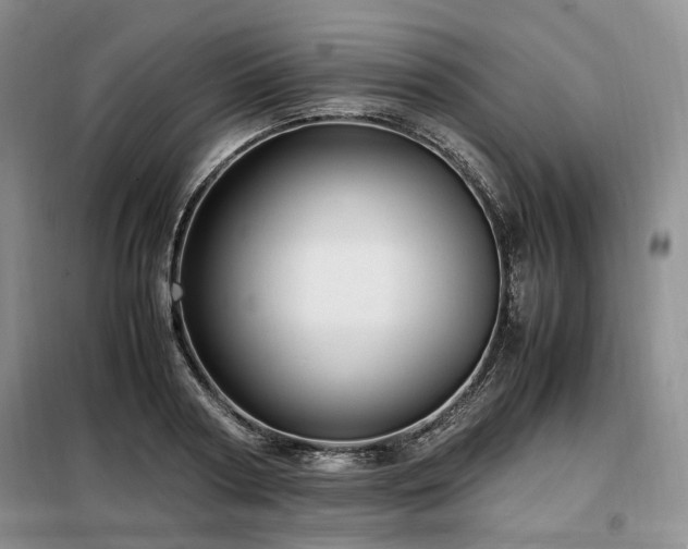 X0000099290794200805021230