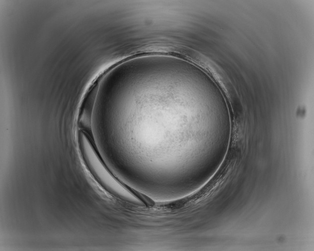 X0000099290795200805021230