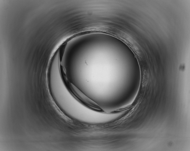 X0000099290796200805021230