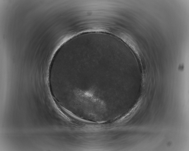 X0000099290797200805021230
