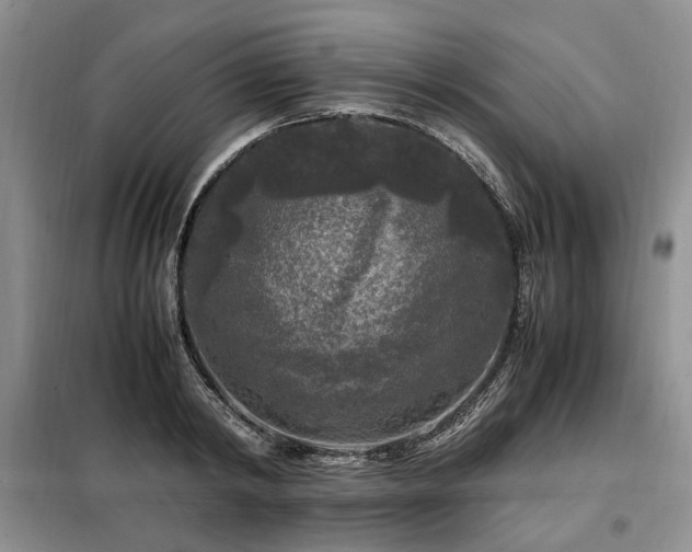 X0000099290798200805021230
