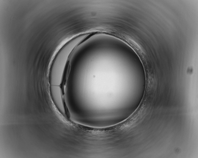 X0000099290800200805021230