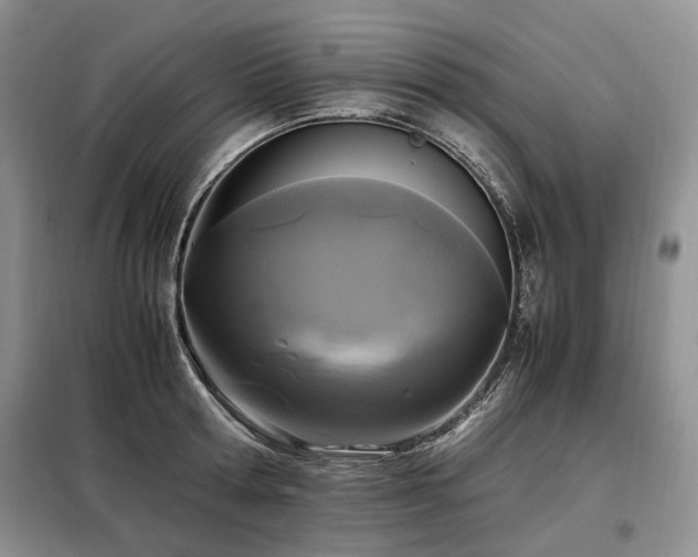 X0000099290802200805021230