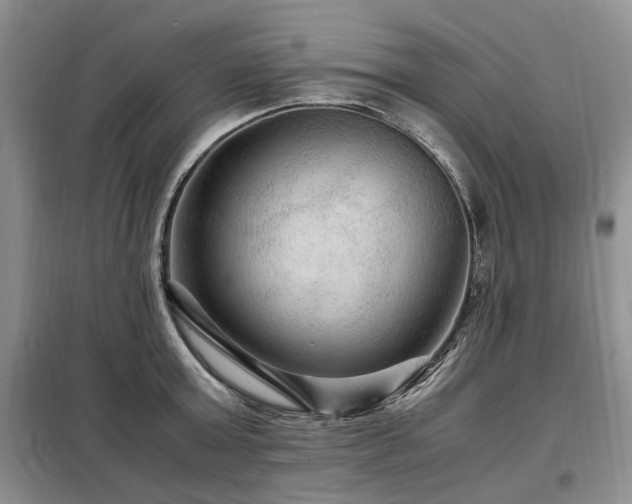 X0000099290803200805021230