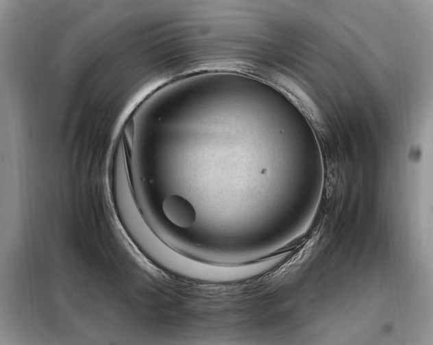 X0000099290804200805021230