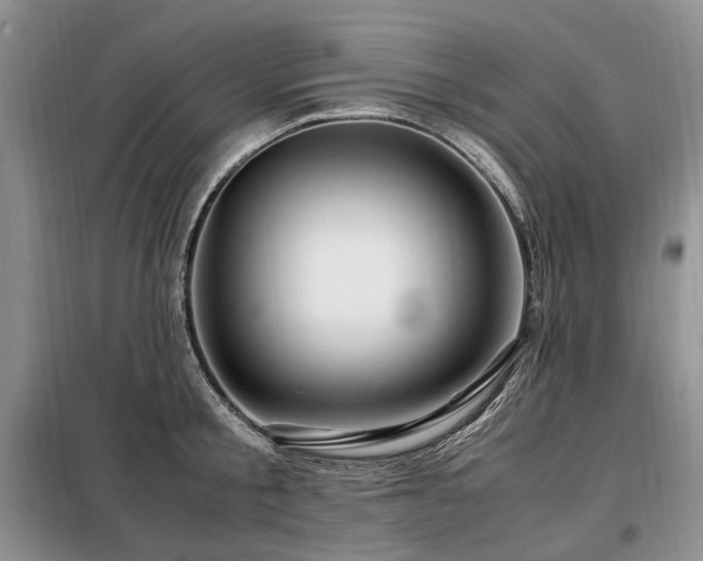 X0000099290805200805021230