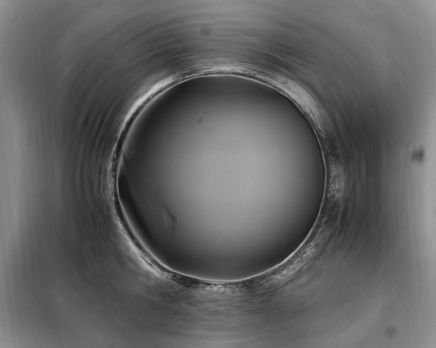 X0000099290806200805021230