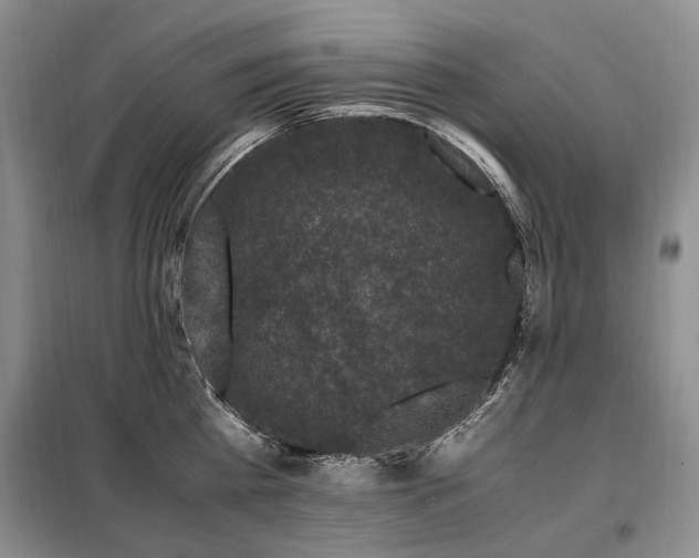 X0000099290809200805021230