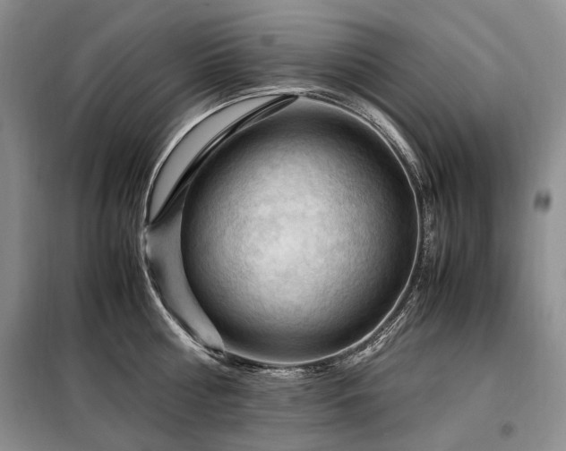 X0000099290810200805021230