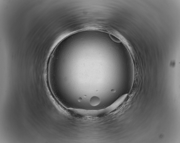 X0000099290811200805021230