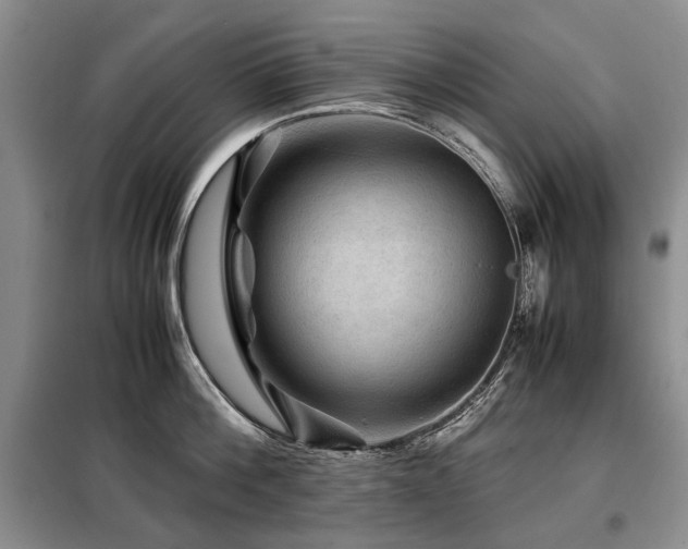 X0000099290812200805021230