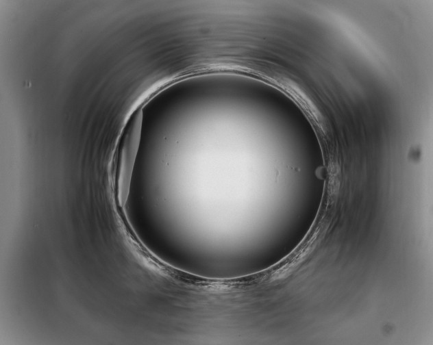 X0000099290814200805021230