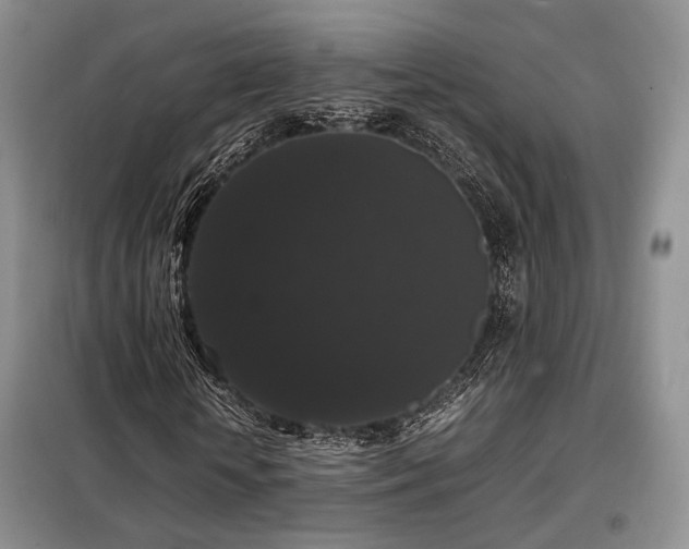 X0000099290818200805021229