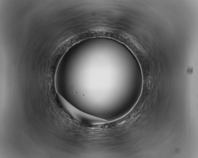 X0000099290821200805021229