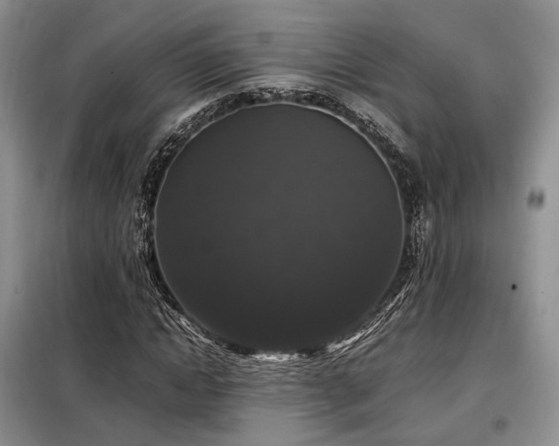 X0000099290822200805021229