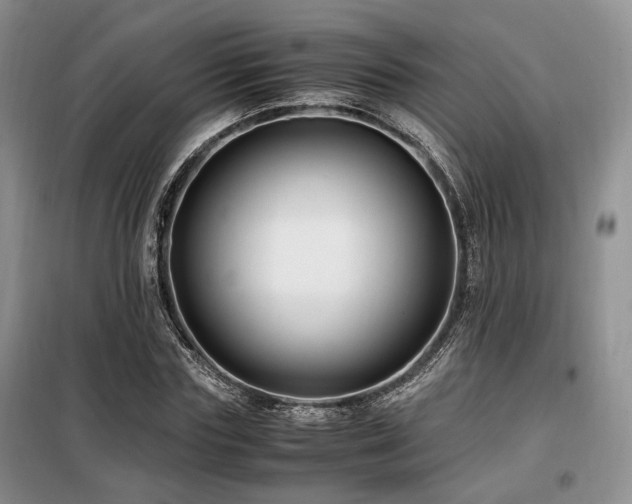 X0000099290827200805021229