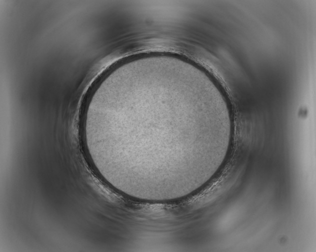 X0000099290828200805021229