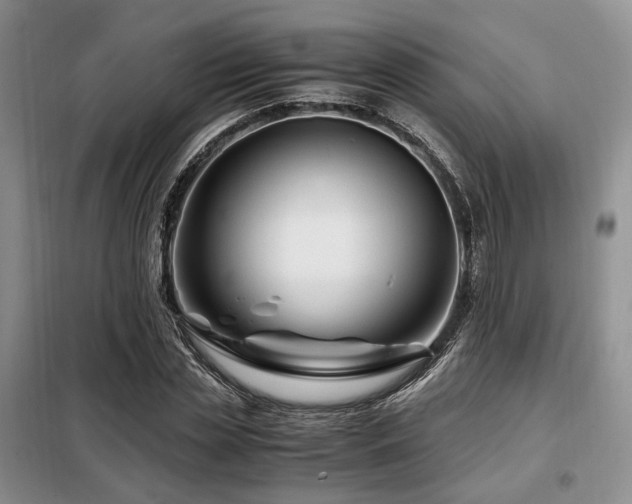 X0000099290829200805021229